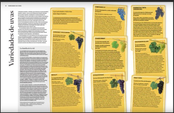 Atlas mundial del vino - Imagen 3
