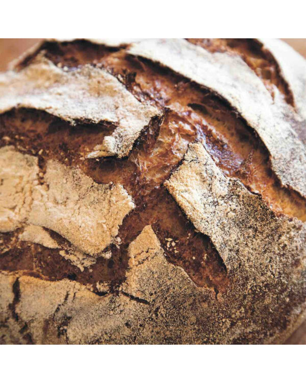 Pan tartine - Firmado - Imagen 7