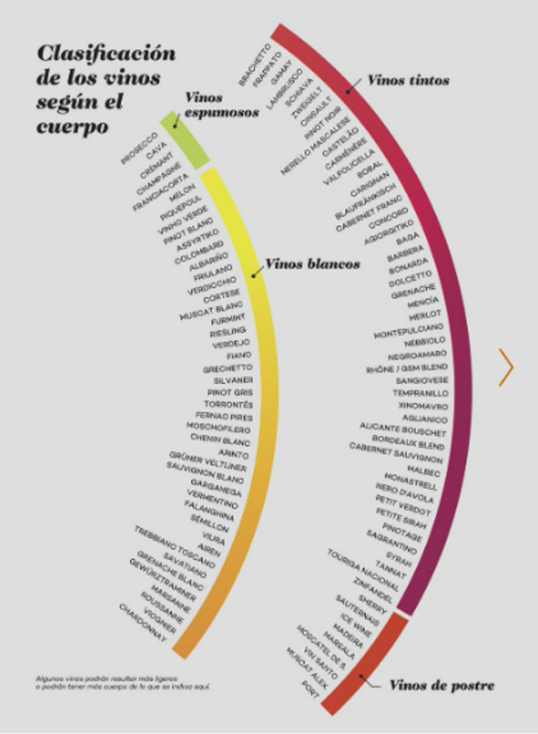 Wine Folly - Edición Magnum - La guía maestra del vino - Imagen 2