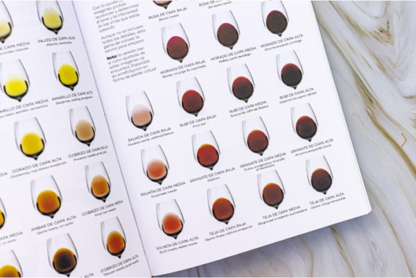 Wine Folly - Edición Magnum - La guía maestra del vino - Imagen 3