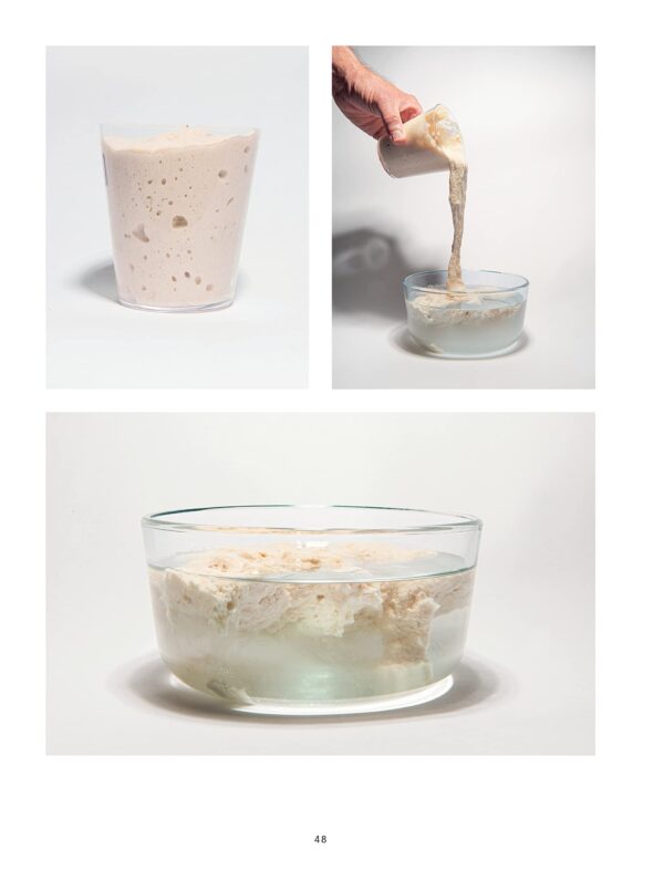 El libro del pan - Chad Robertson - Imagen 7