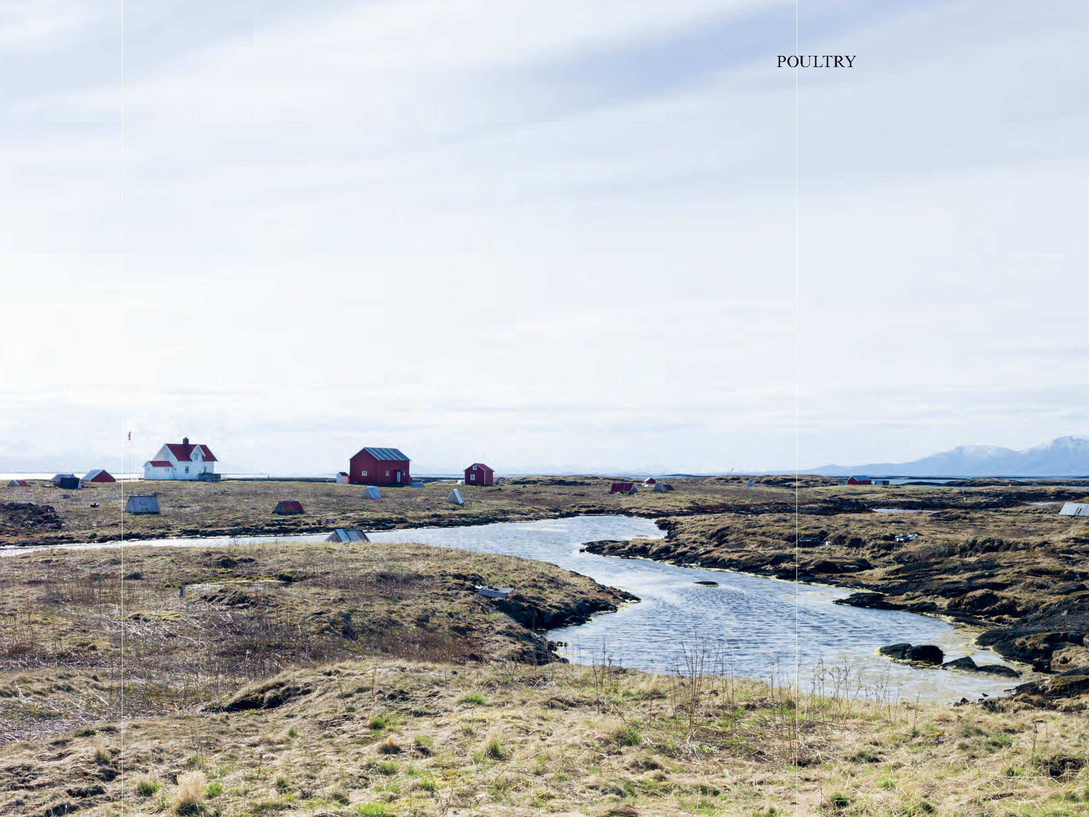 The Nordic Cook Book - Image 2