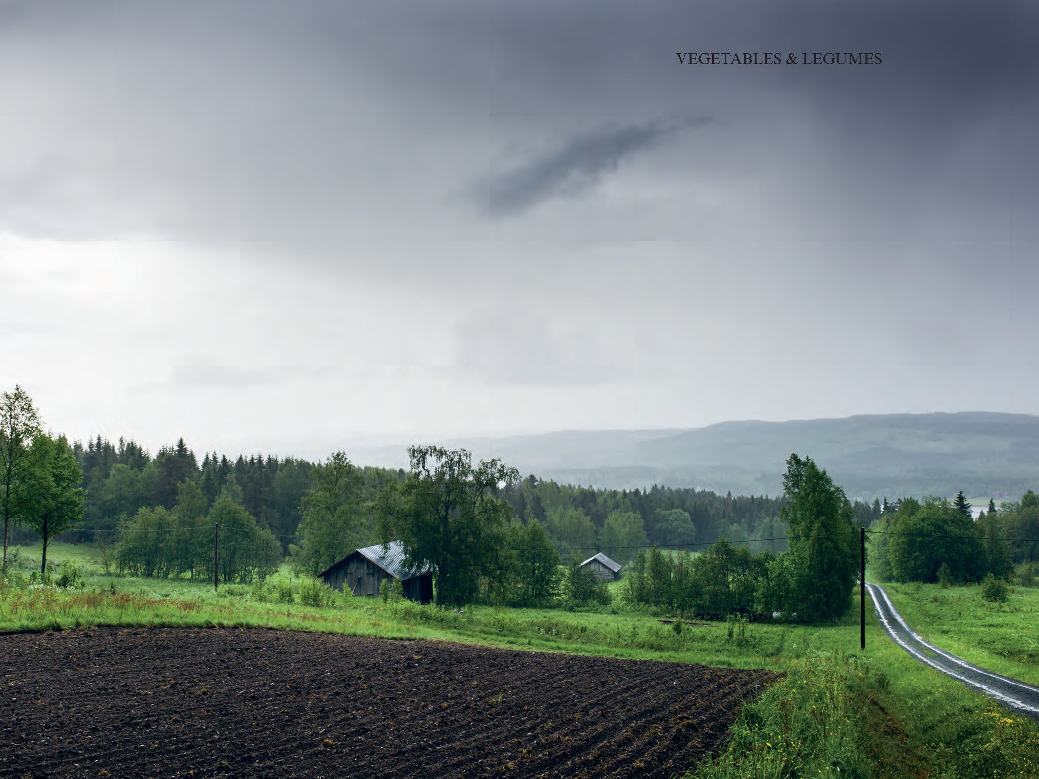 The Nordic Cook Book - Image 4