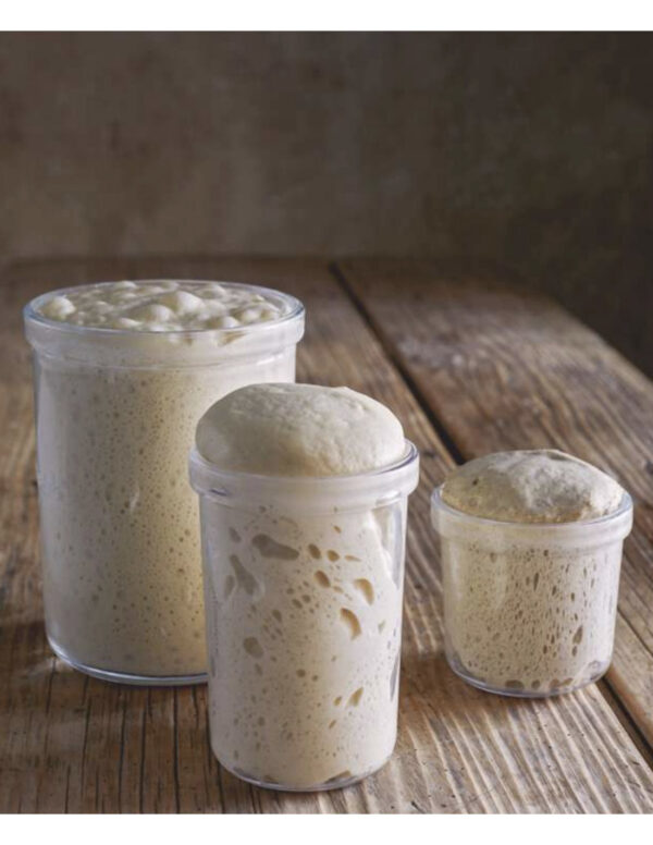 Fermentación. Historia, usos y recetas - Imagen 7