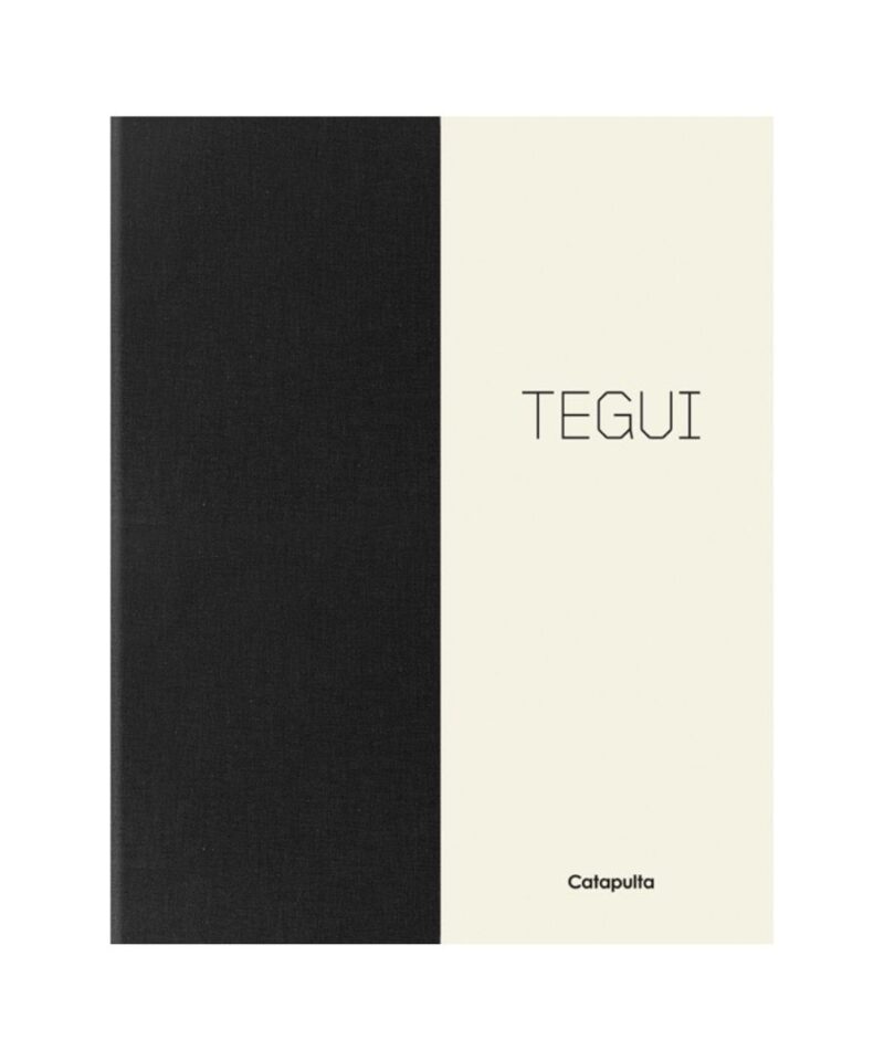 Tegui