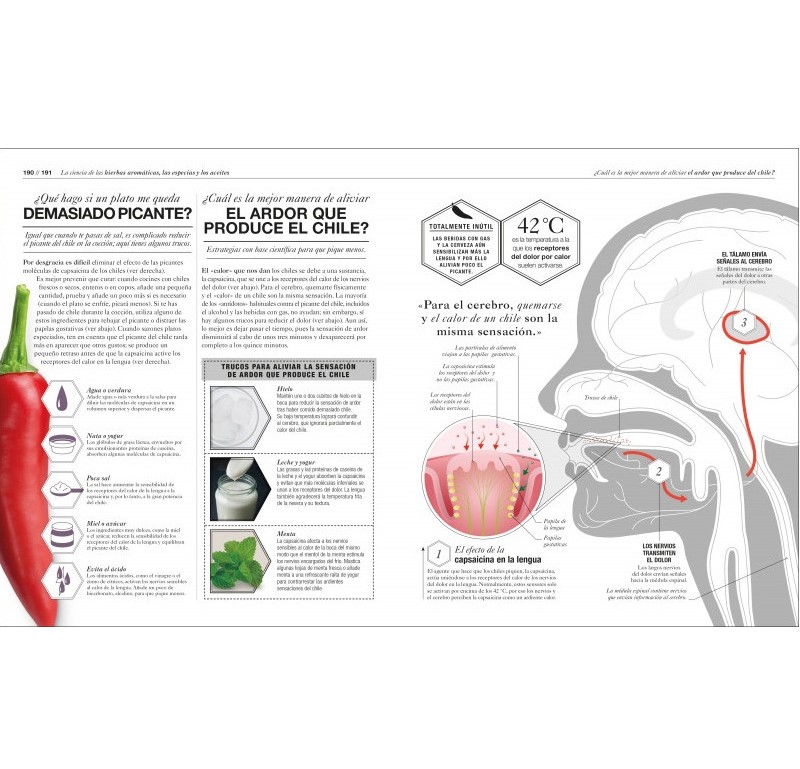 Cocinología - La ciencia de cocinar - Image 4