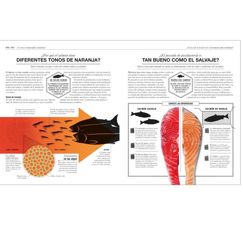 Cocinología - La ciencia de cocinar - Image 5
