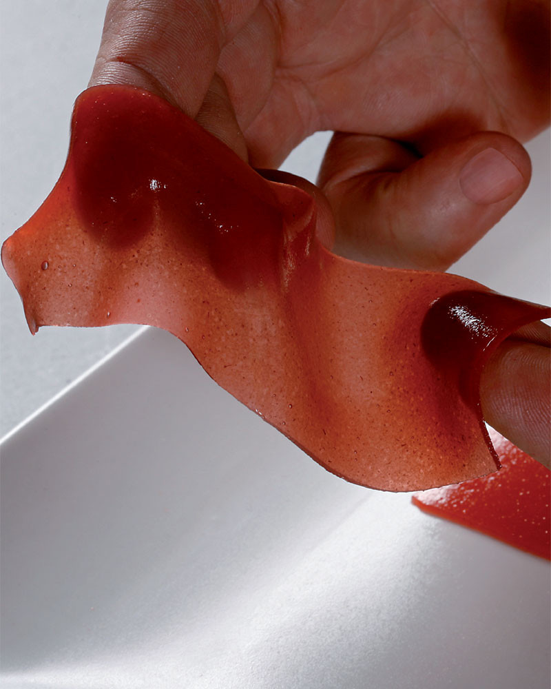 Evolution - Image 13