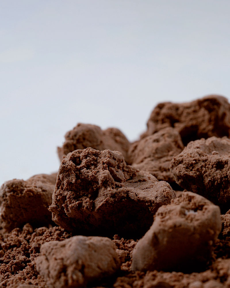 Evolution - Image 15