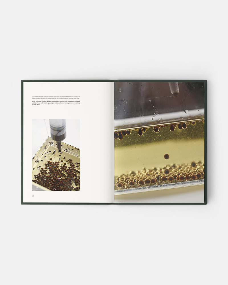 Evolution - Image 16