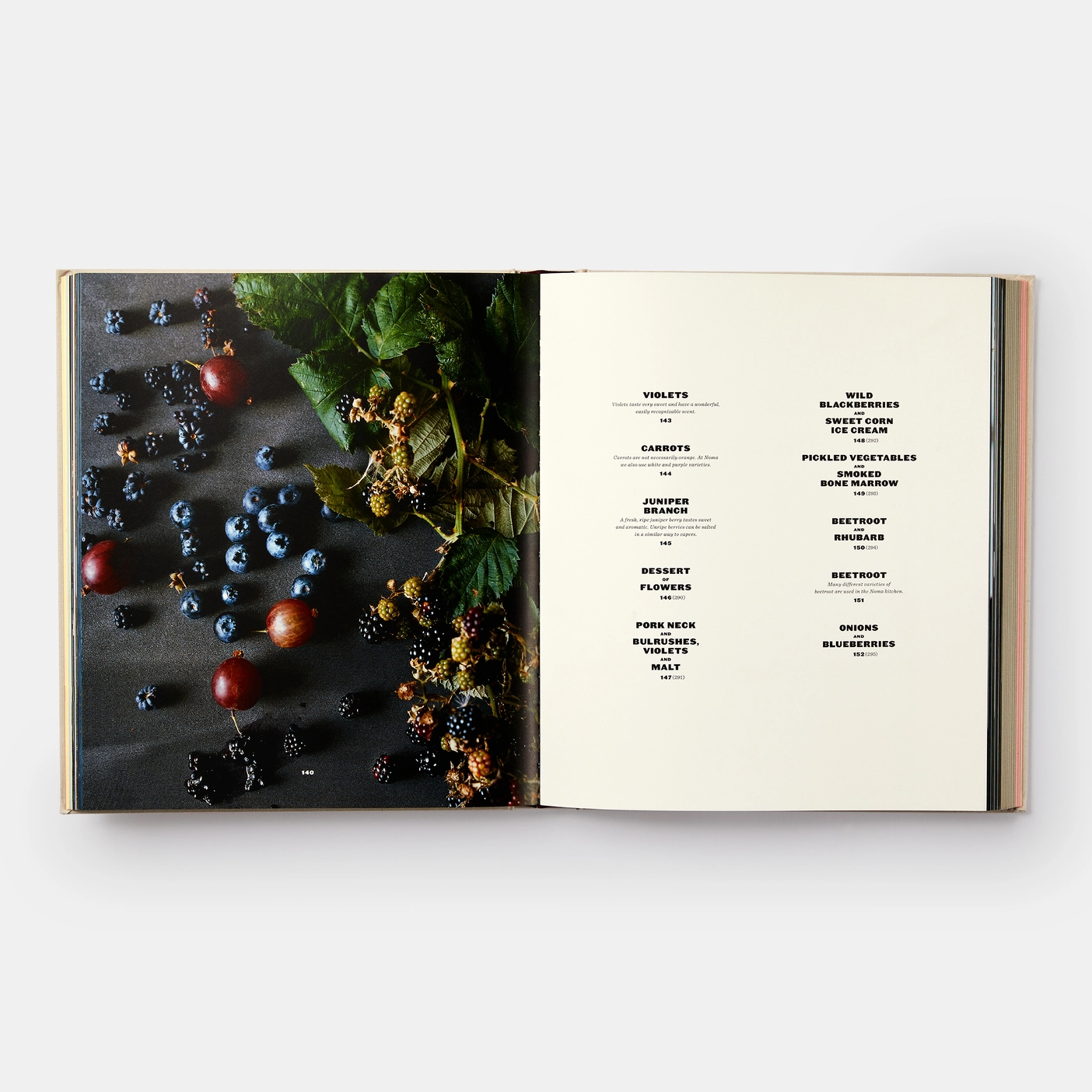 Noma - Edición en Inglés - Image 7