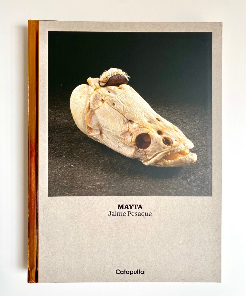 Mayta - Jaime Pesaque