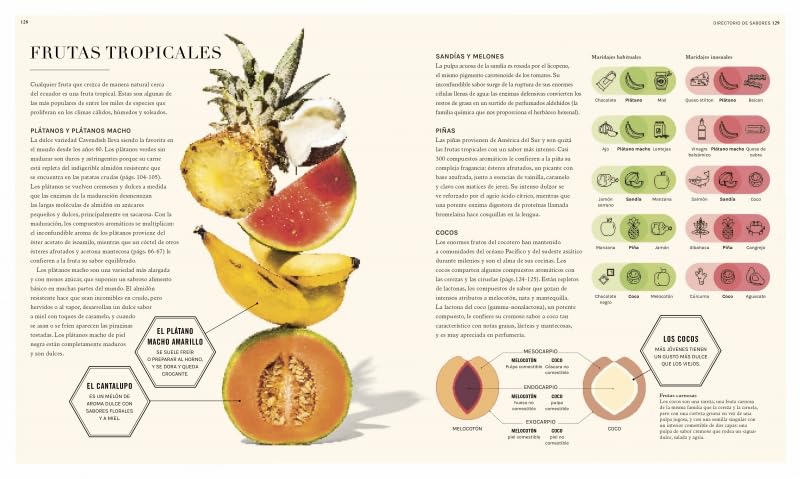 La ciencia de los sabores: Principios básicos, combinaciones, técnicas y consejos - Image 2