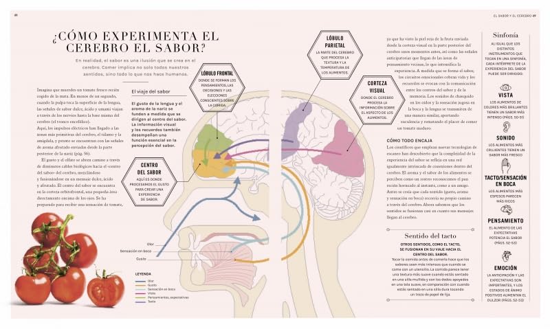 La ciencia de los sabores: Principios básicos, combinaciones, técnicas y consejos - Image 3