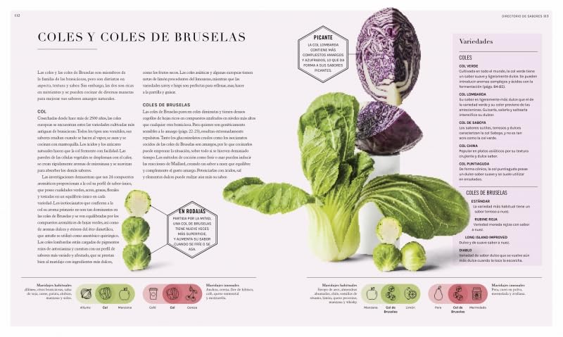 La ciencia de los sabores: Principios básicos, combinaciones, técnicas y consejos - Image 6