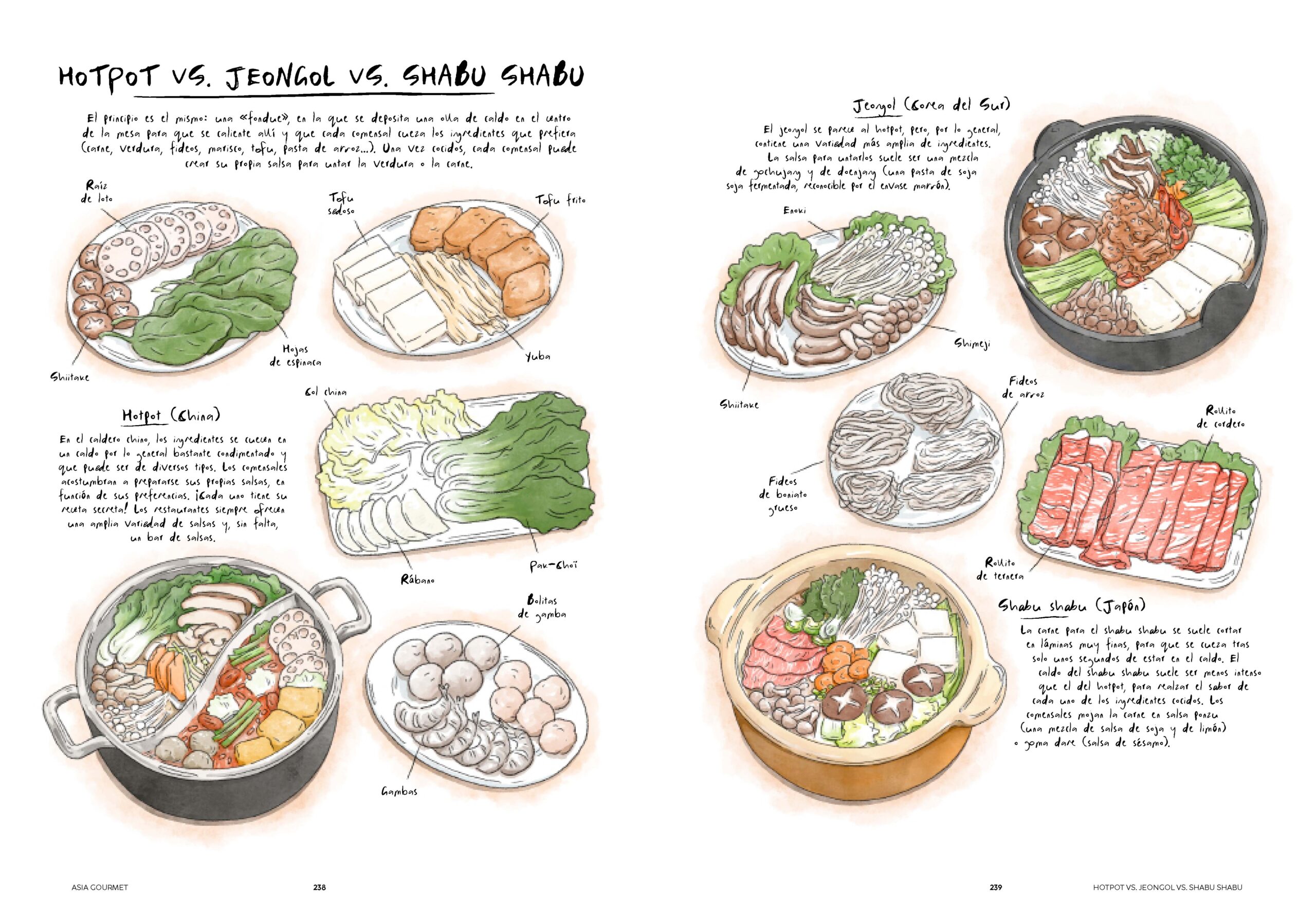 Asia gourmet - Descubre la cocina asiatica - Image 2
